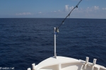 kreta7